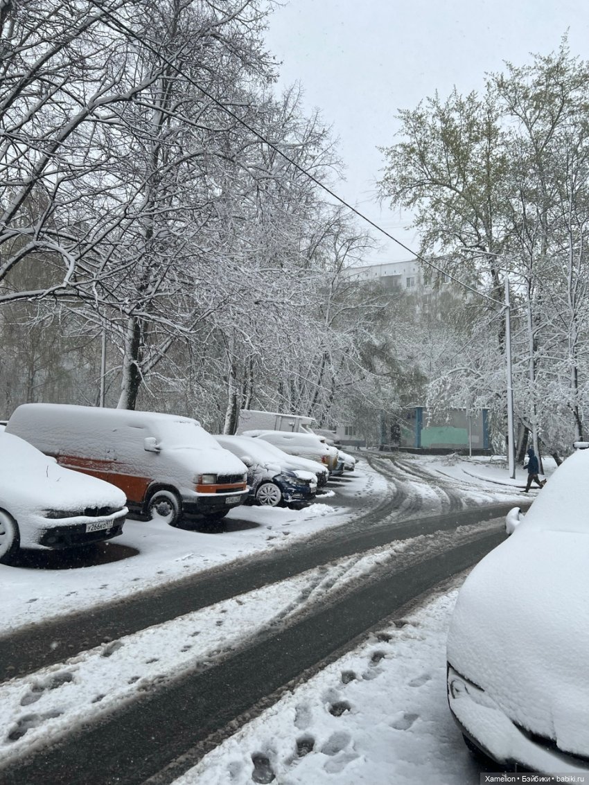 Московская Весна — Болталка и разговоры обо всем: жизнь (фото 7)