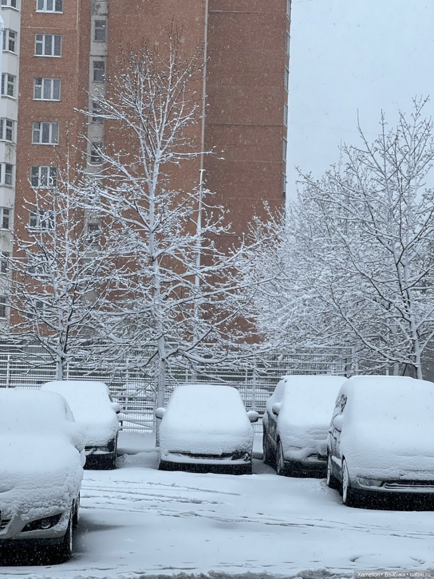 Московская Весна — Болталка и разговоры обо всем: жизнь (фото 5)