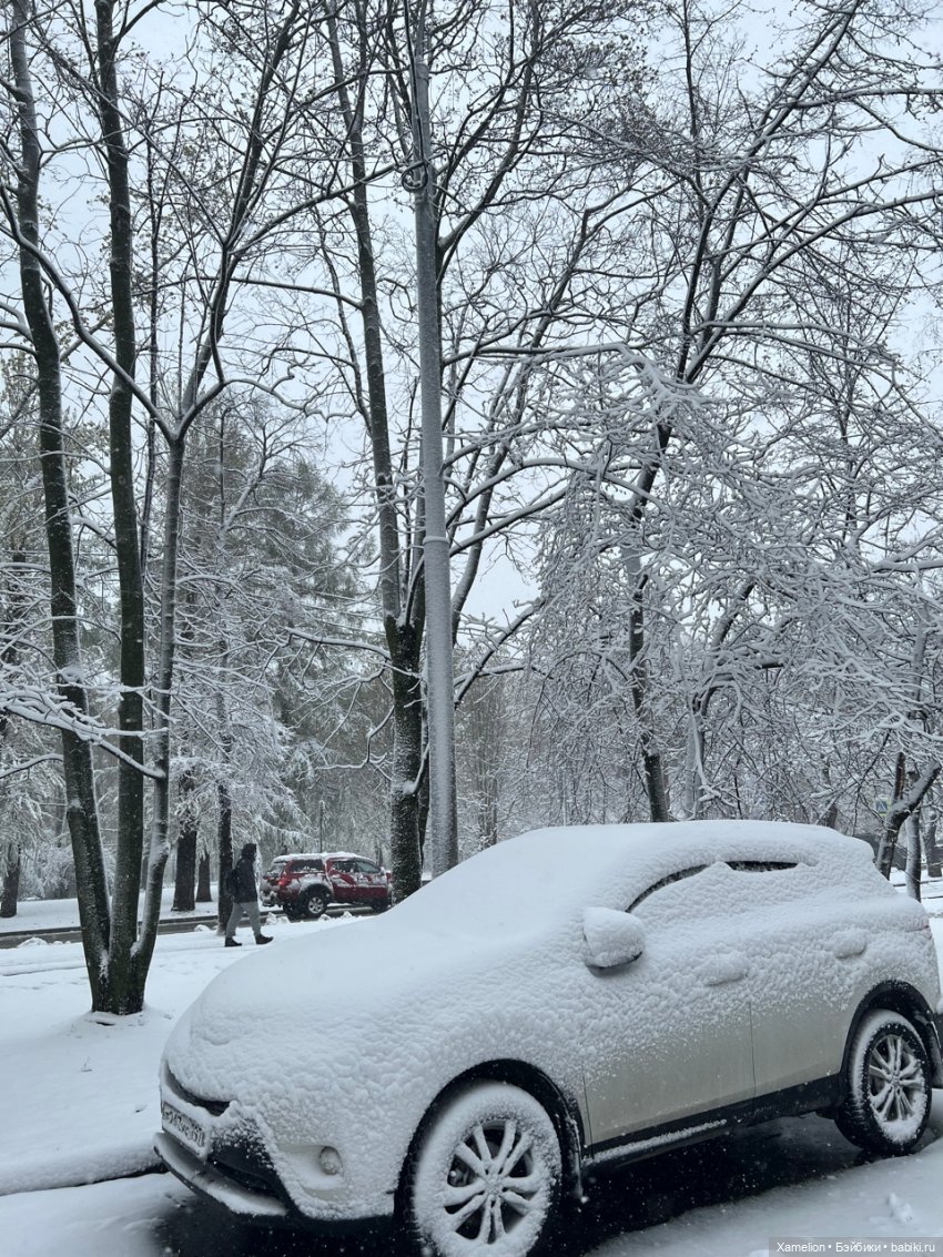 Московская Весна — Болталка и разговоры обо всем: жизнь (фото 6)