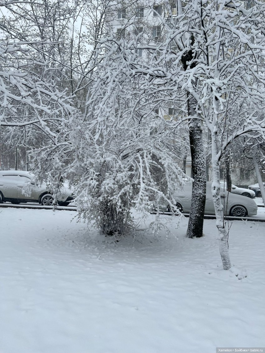 Московская Весна — Болталка и разговоры обо всем: жизнь (фото 4)