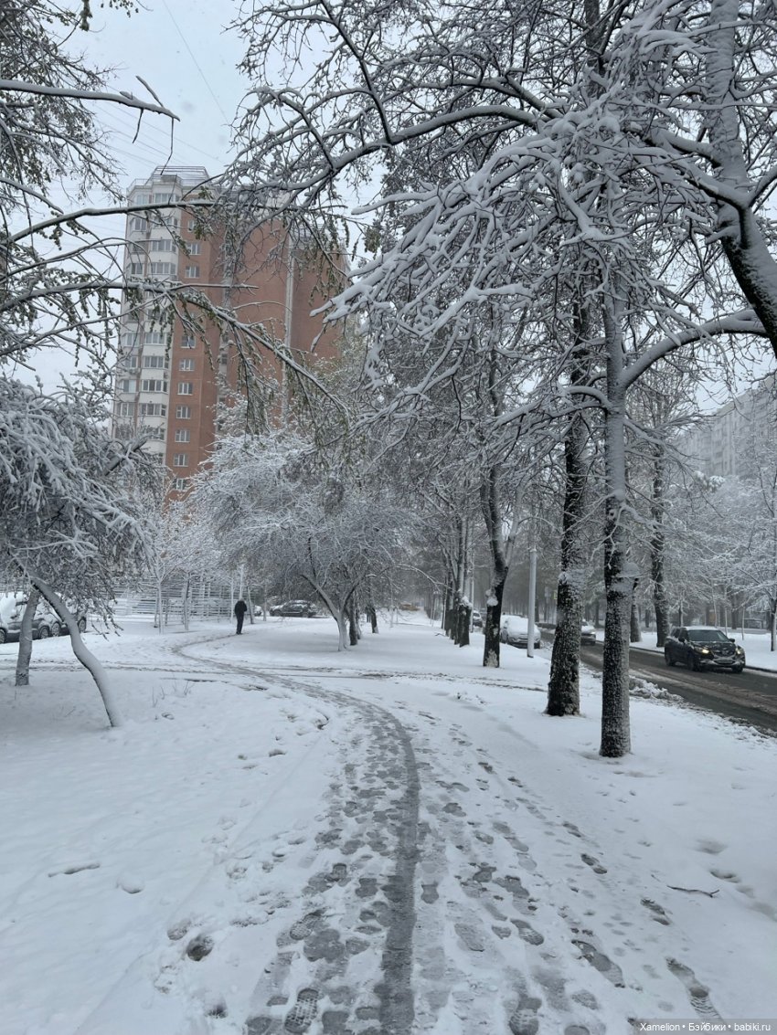 Московская Весна — Болталка и разговоры обо всем: жизнь (фото 3)