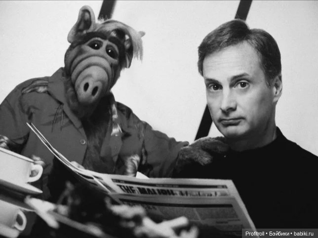 Alf (Альф). 35 лет сериалу