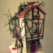 Когда очень хотелось свой дом