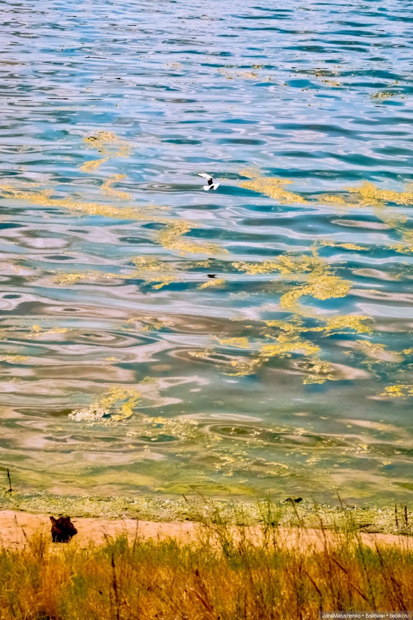 Погнали! Ахха | Бэйбики Погнали! Ахха — Авторские шарнирные куклы своими руками: лепка