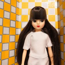 Репро ликка