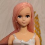 Шион (licca castle)