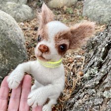 Чихуа́хуа Марик