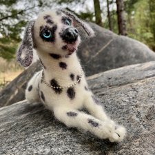 Далматинка Джессика