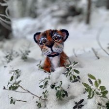 Живой тигрёнок Амур