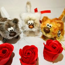 Котики обормотики😉