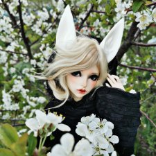 Опал (Fairyland fp60 Event 2019 head NS) BIO