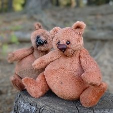 Братья медвежата