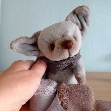 Ушастый любознательный Лисёнок