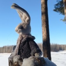 Знакомство зайчика с зимой.