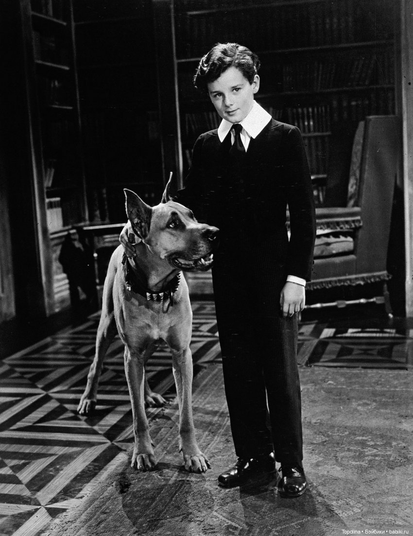 Маленький лорд Фаунтлерой (фото 4)