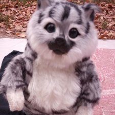 Блошка. Вчера и Сегодня