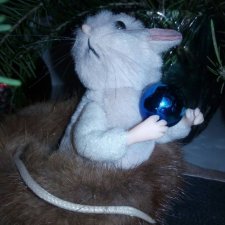 Мышки - столичные жители