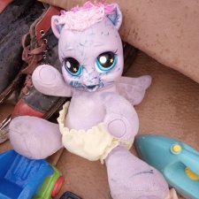 Блошка. Сегодня