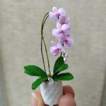Орхидея Фаленопсис со светло-розовыми цветками в белом горшке. Миниатюра 1:6