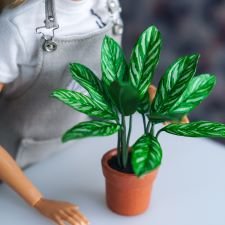 Растение из фильма "ЛЕОН". Аглаонема. Миниатюра 1:6