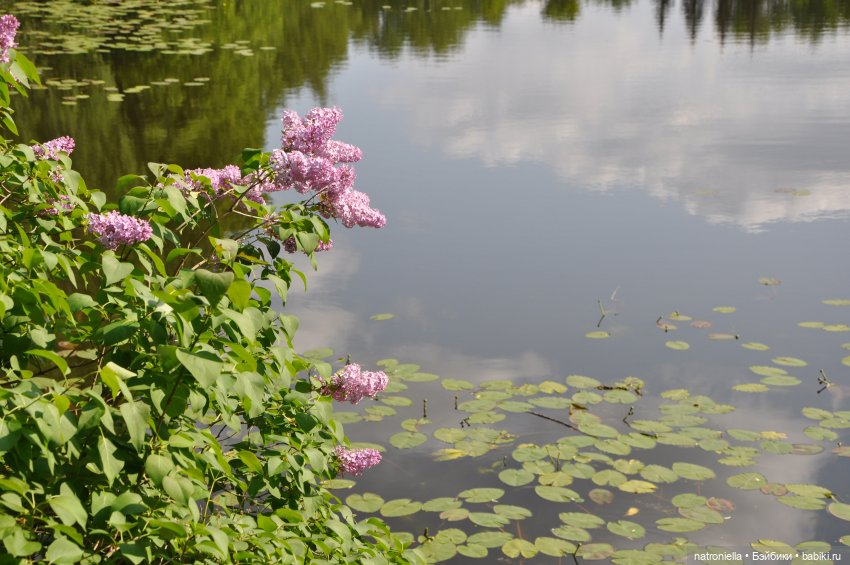 Идиллически-урбанистическая прогулка Наташи
