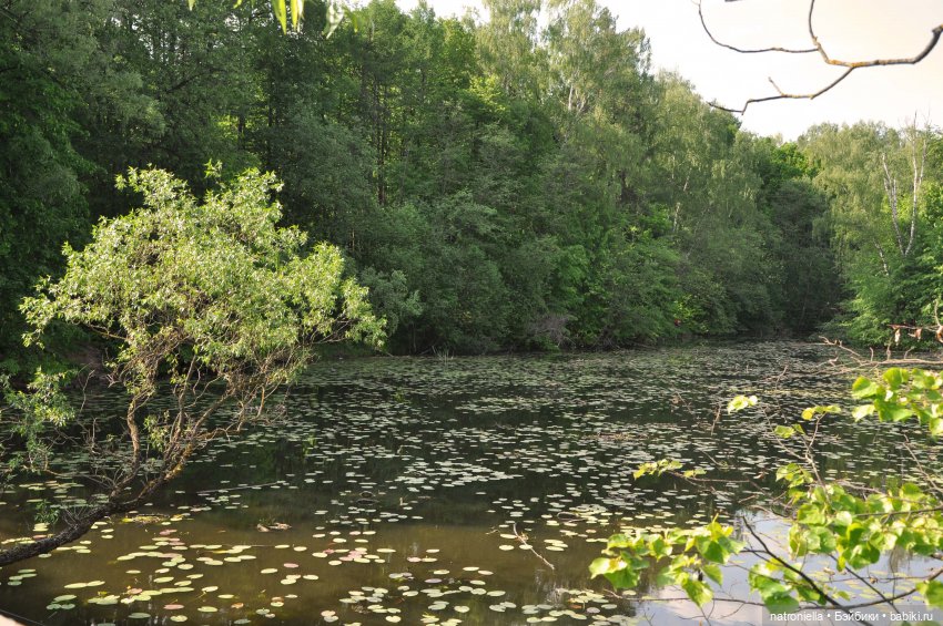 Идиллически-урбанистическая прогулка Наташи