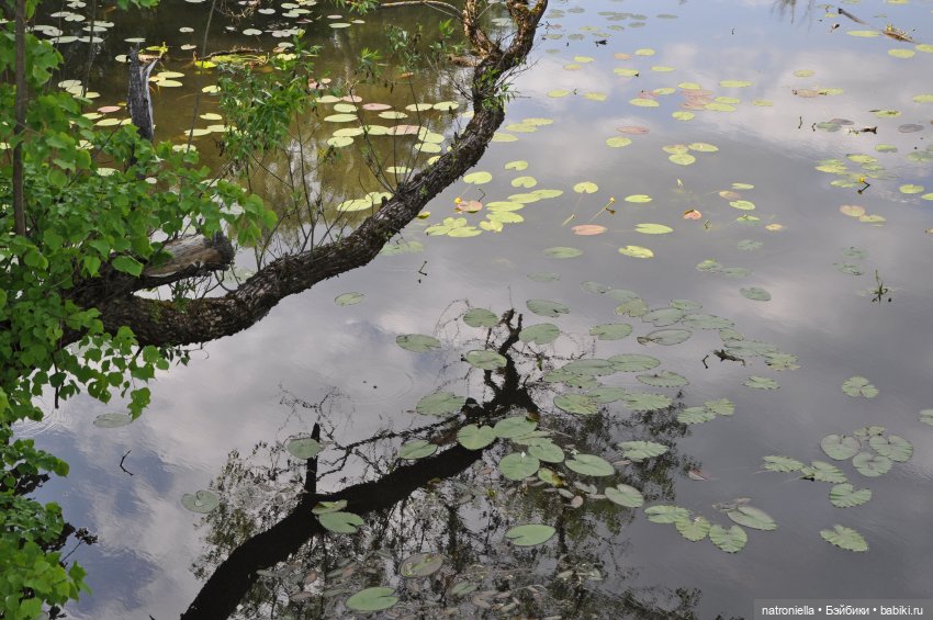 Идиллически-урбанистическая прогулка Наташи