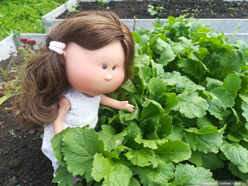 Как Булка Наринэ дачу инспектировала (фото 10)