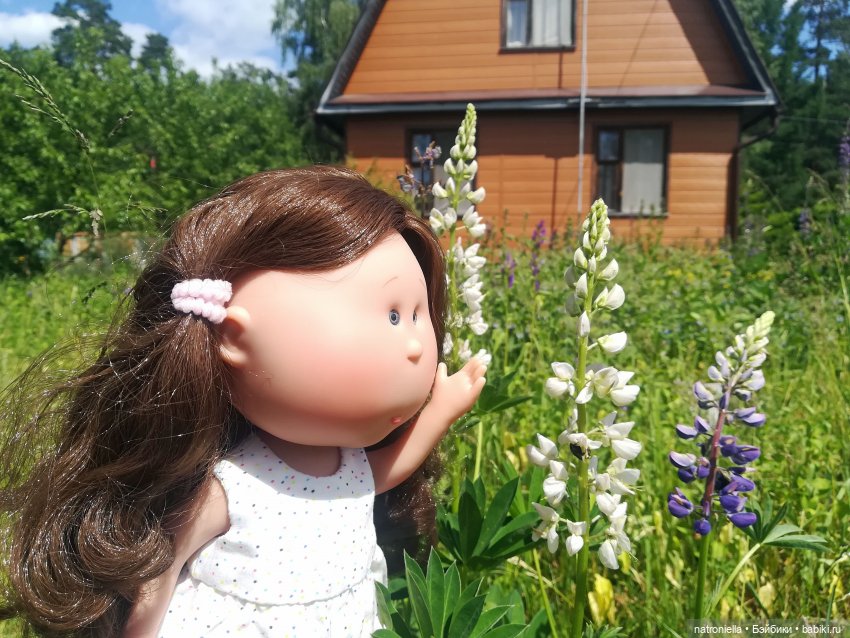 Как Булка Наринэ дачу инспектировала (фото 4)