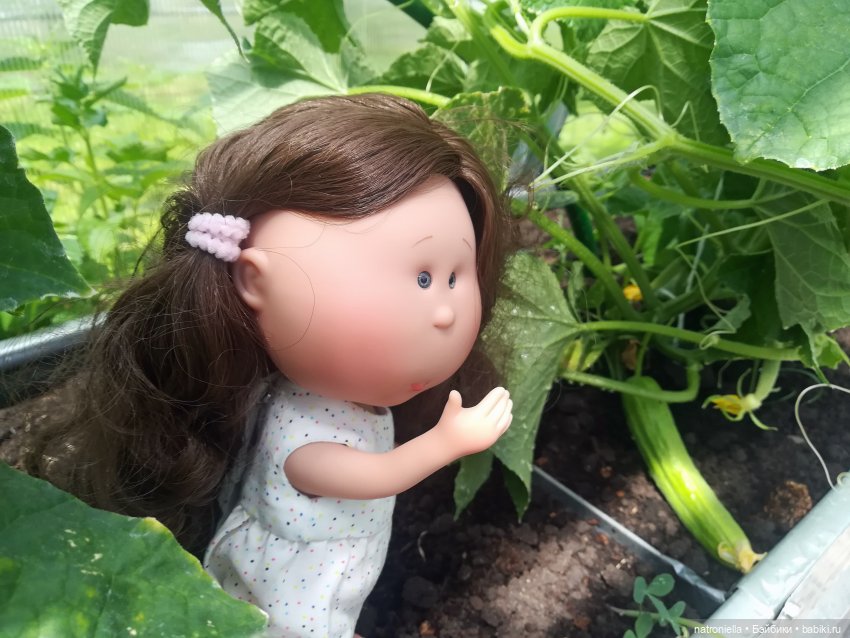 Как Булка Наринэ дачу инспектировала (фото 9)