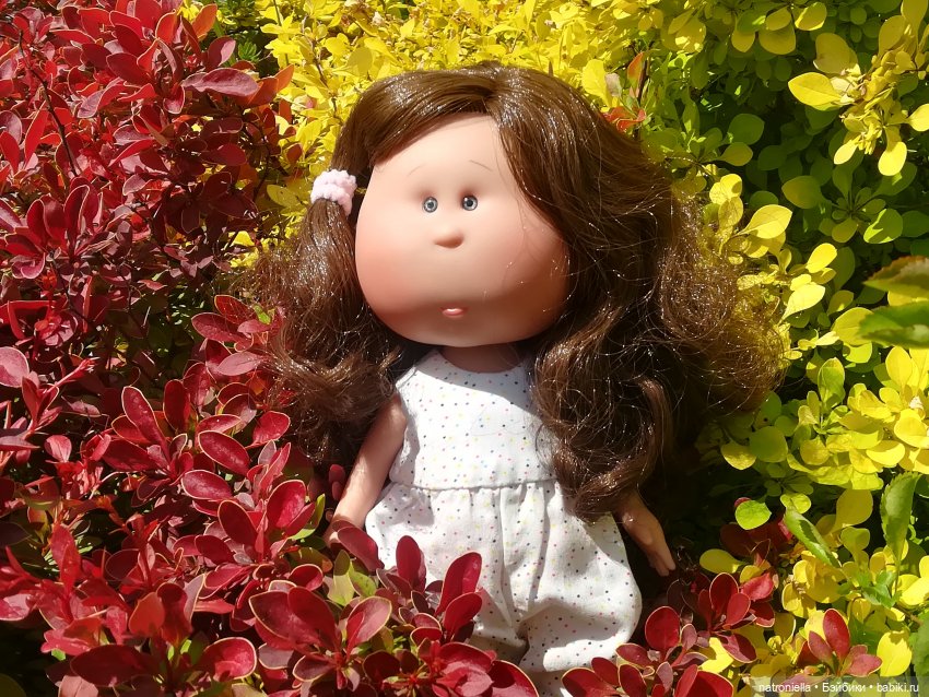 Как Булка Наринэ дачу инспектировала (фото 3)