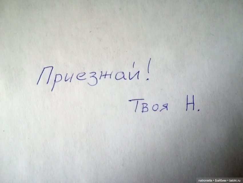 Как Булка Наринэ дачу инспектировала