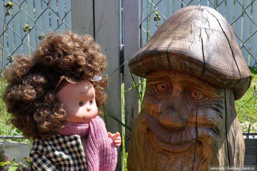 Лютина Ирис и звонкое ирисовое лето (фото 4)