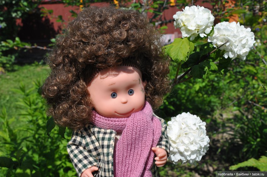 Лютина Ирис и звонкое ирисовое лето (фото 8)