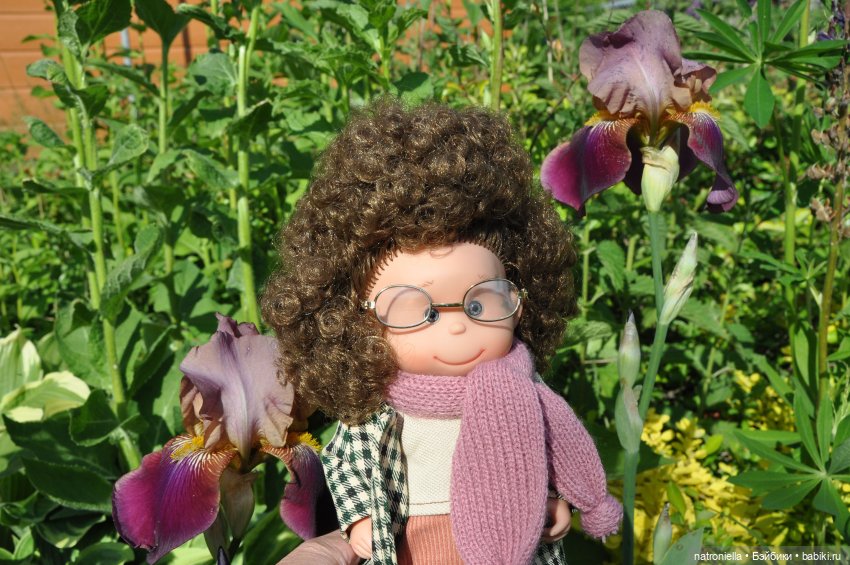 Лютина Ирис и звонкое ирисовое лето