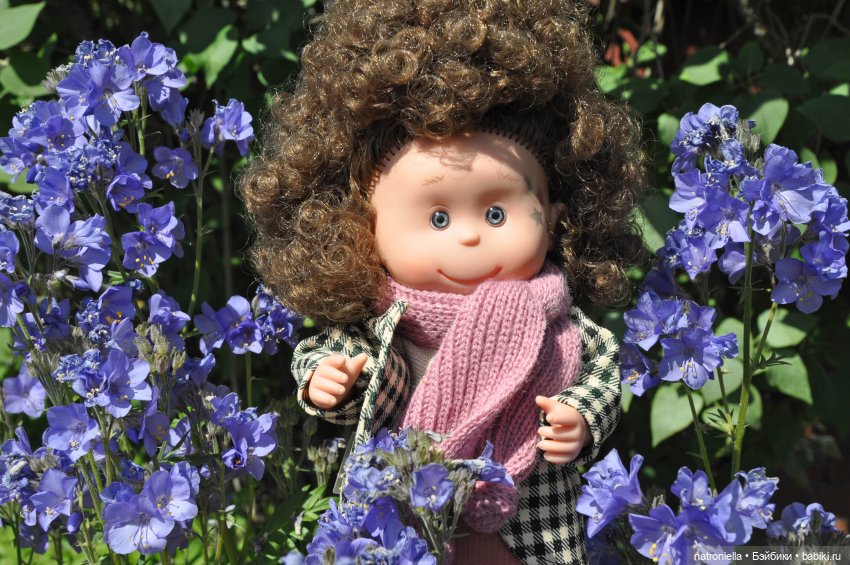 Лютина Ирис и звонкое ирисовое лето (фото 9)