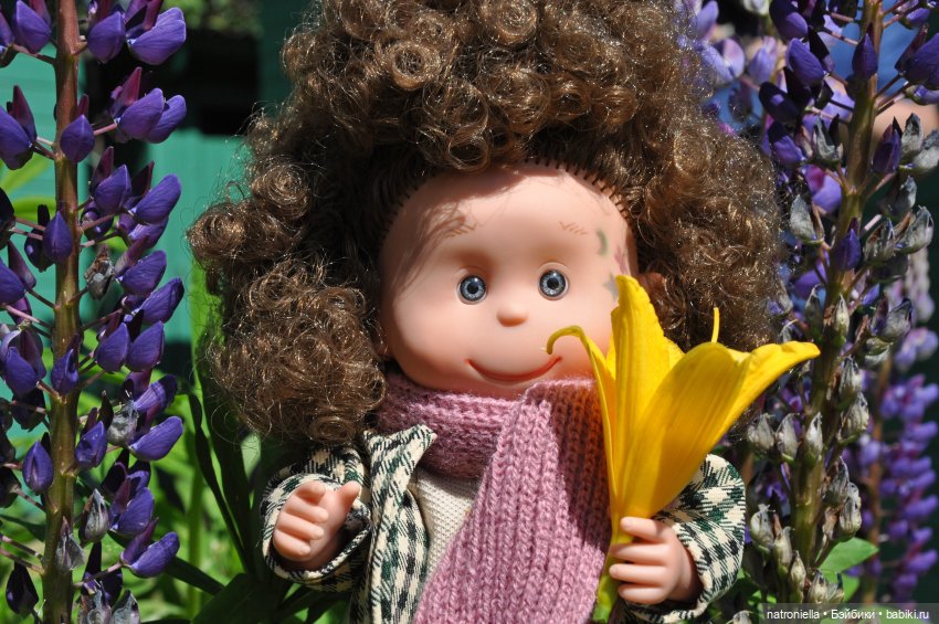 Лютина Ирис и звонкое ирисовое лето