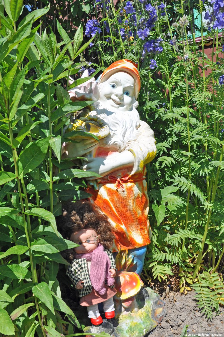 Лютина Ирис и звонкое ирисовое лето (фото 2)