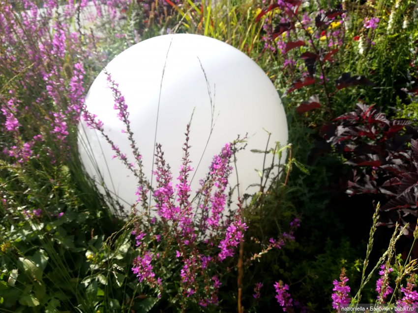 Прогулки по Москве: "Цветочный джем" и окрестности