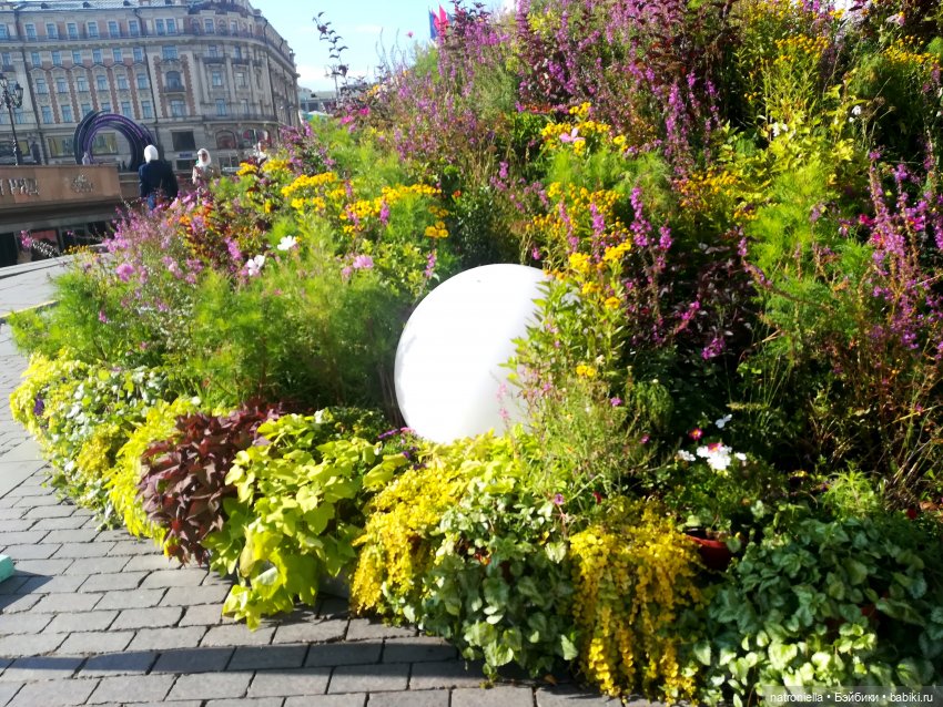 Прогулки по Москве: "Цветочный джем" и окрестности