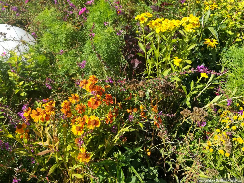 Прогулки по Москве: "Цветочный джем" и окрестности