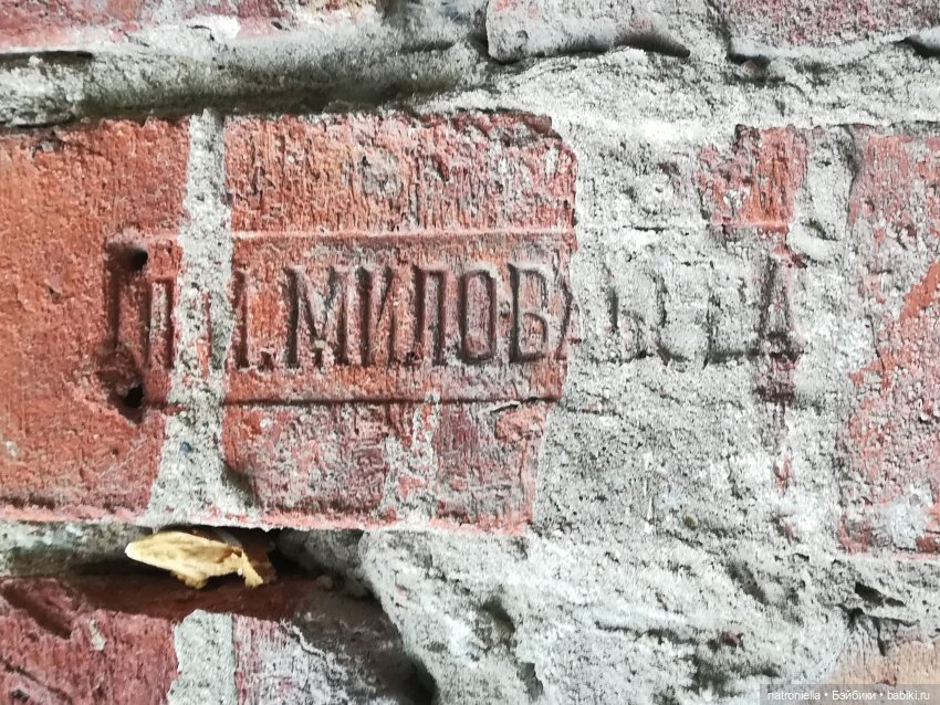 Как провели лето мои минуш. Часть 2 - приключения Клеменса | Бэйбики Как провели лето мои минуш. Часть 2 - приключения Клеменса