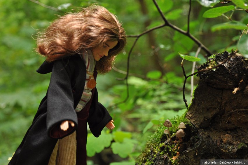 Как провели лето мои минуш. Часть 2 - приключения Клеменса | Бэйбики Как провели лето мои минуш. Часть 2 - приключения Клеменса (фото 7)