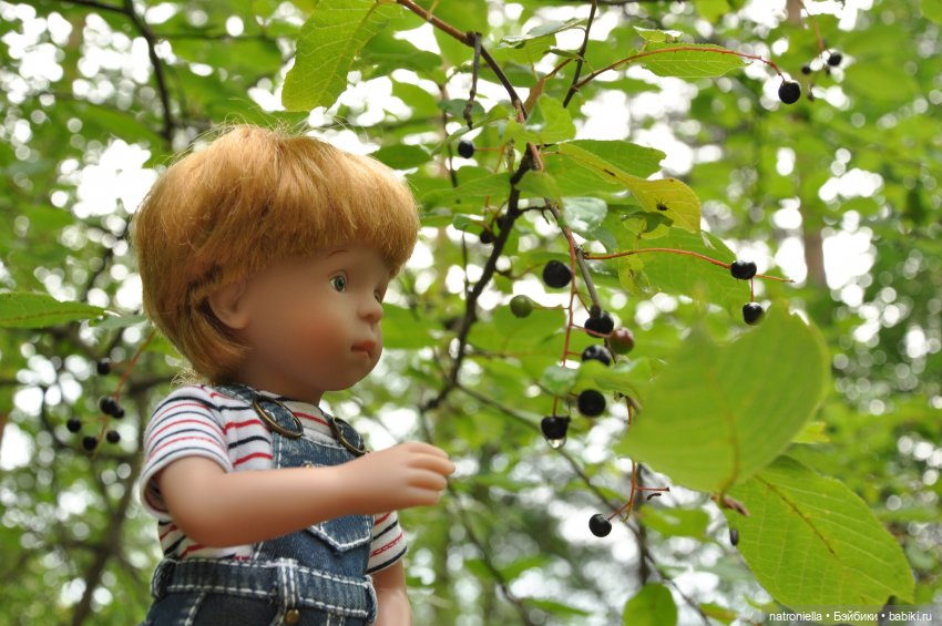 Как провели лето мои минуш. Часть 2 - приключения Клеменса | Бэйбики Как провели лето мои минуш. Часть 2 - приключения Клеменса (фото 9)