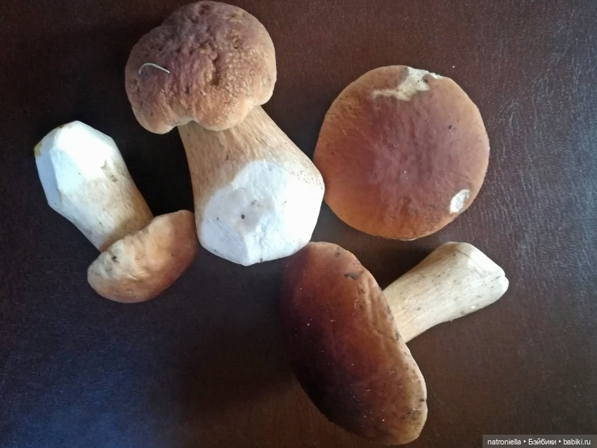 Как провели лето мои минуш. Часть 2 - приключения Клеменса | Бэйбики Как провели лето мои минуш. Часть 2 - приключения Клеменса (фото 8)