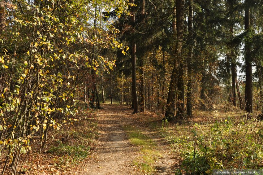 Манюня, багрец и золото — Куклы Nines d'Onil (Нинес): Миа (Mia)