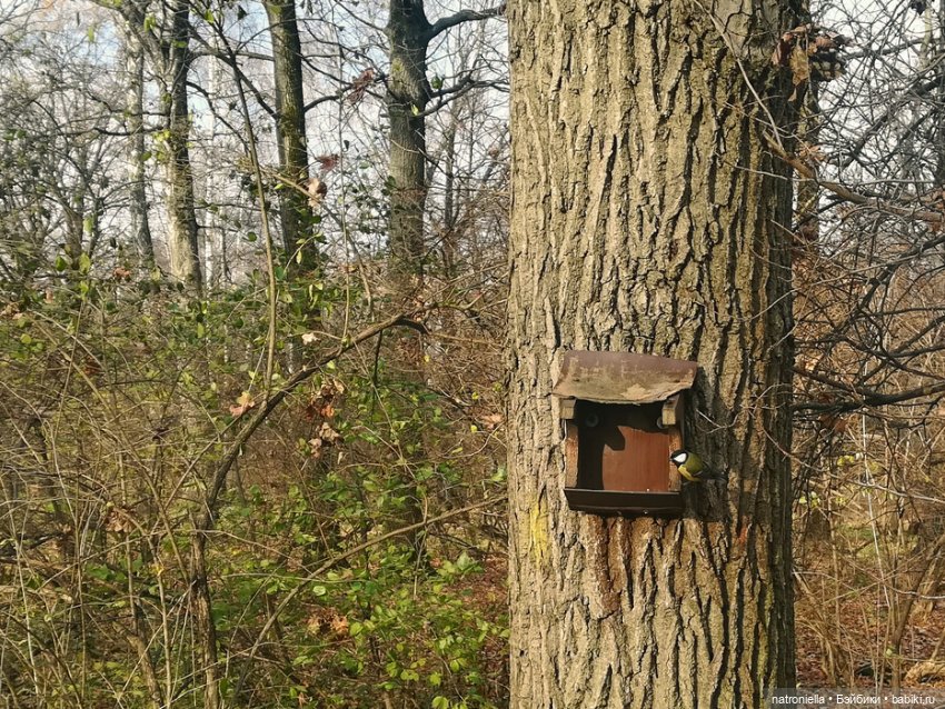 Осень домовенка — Испанские куклы (разное): Vestida de Azul
