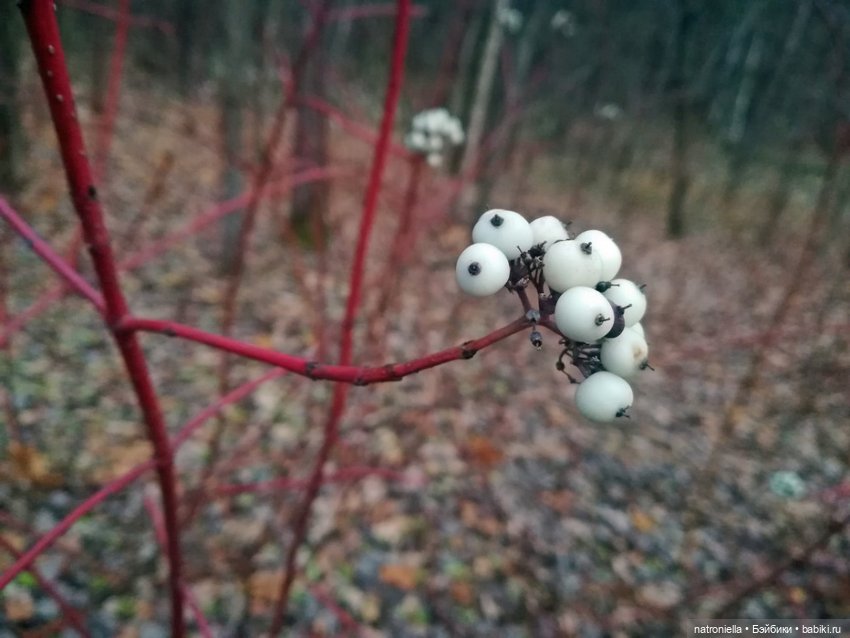 Осень домовенка — Испанские куклы (разное): Vestida de Azul (фото 4)