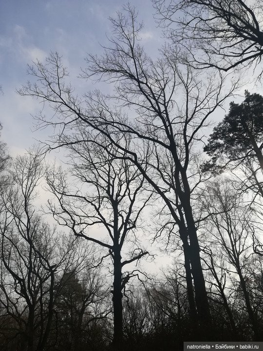 Осень домовенка — Испанские куклы (разное): Vestida de Azul (фото 7)