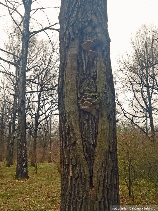 Осень домовенка — Испанские куклы (разное): Vestida de Azul